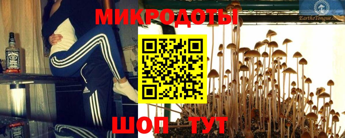 Псилоцибиновые грибы GOLDEN TEACHER Тверь