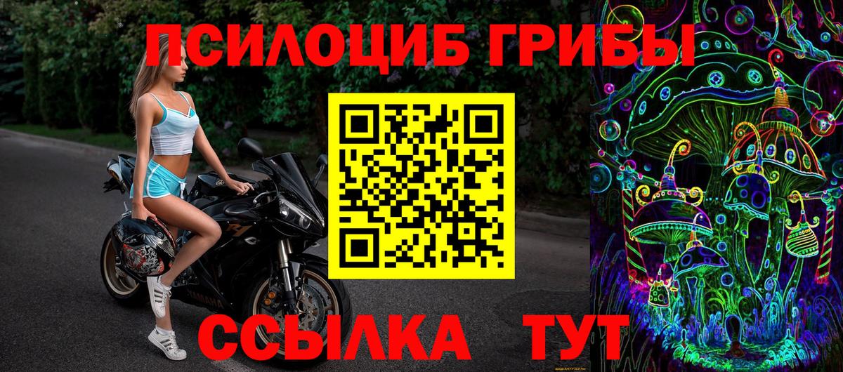 Галлюциногенные грибы Psilocybine cubensis  Вход с VPN  Тверь 