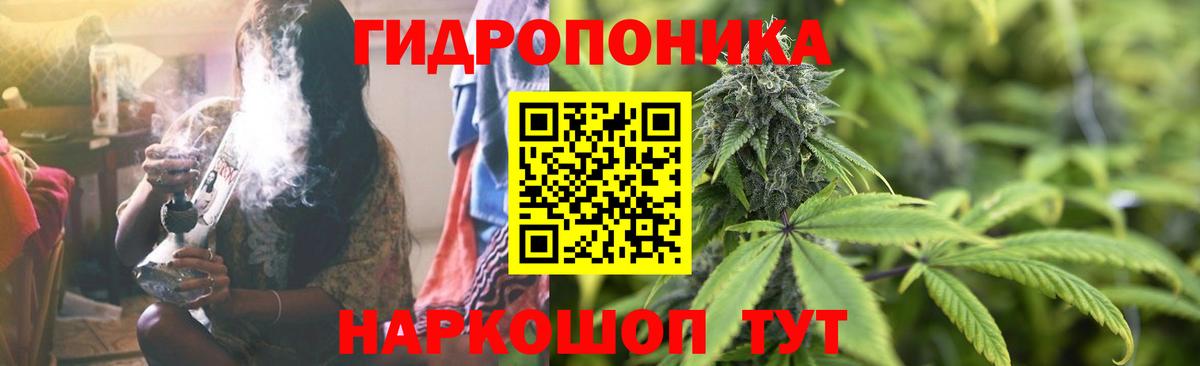 Канабис тримм  Канабис Amnesia  Тверь  Марихуана марихуана  Вход с VPN 
